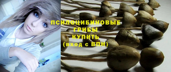 прущая мука Покачи