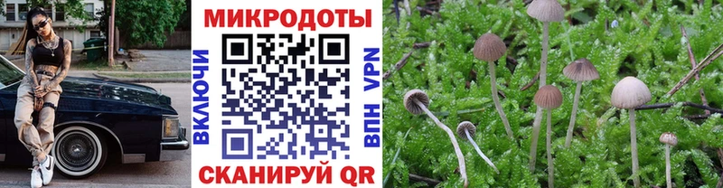 Галлюциногенные грибы Cubensis  дарнет шоп  Алейск 