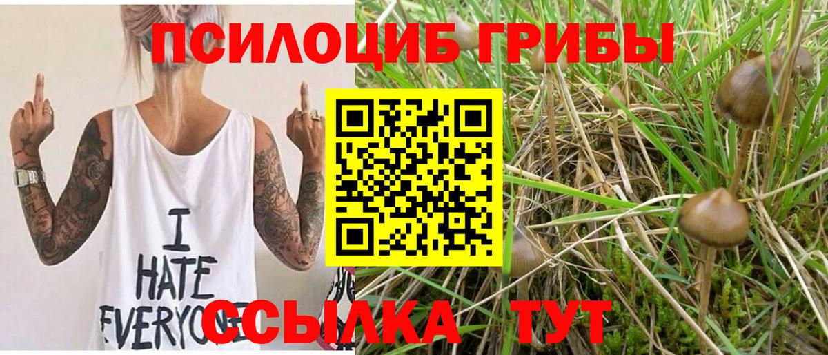 Галлюциногенные грибы прущие грибы Алейск