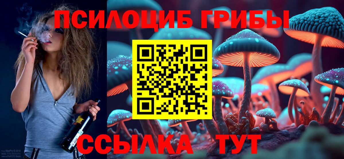 Галлюциногенные грибы Psilocybine cubensis  Псилоцибиновые грибы мицелий  Алейск  Вход с VPN 